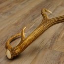 Rothirsch Stange 14 ender Gewicht 2,16 kg Länge 76 cm Hirsch Abwurfstange 71.1.156