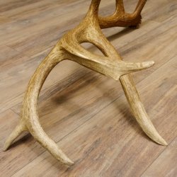 Rothirsch Stange 14 ender Gewicht 2,15 kg Länge 81 cm Hirsch Abwurfstange 71.1.158