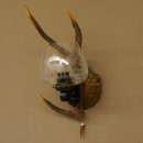 Wandlampe 1 flammig geschnitztes Schild mit Sika Stange Lampe Leuchte Lampenschirm