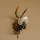 Wandlampe 1 flammig geschnitztes Schild mit Sika Stange Lampe Leuchte Lampenschirm