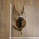 Wandlampe 1 flammig geschnitztes Schild mit Sika Stange Lampe Leuchte Lampenschirm