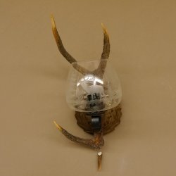 Wandlampe 1 flammig geschnitztes Schild mit Sika Stange Lampe Leuchte Lampenschirm