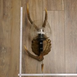 Wandlampe 1 flammig geschnitztes Schild mit Sika Stange Lampe Leuchte Lampenschirm