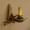 Wandlampe Geweih 1 flammig Rothirschstange Rehstange Stange Lampe Leuchte Wand