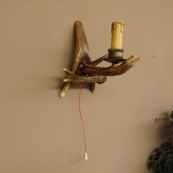 Wandlampe Geweih 1 flammig Rothirschstange Rehstange Stange Lampe Leuchte Wand