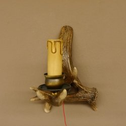Wandlampe Geweih 1 flammig Rothirschstange Rehstange Stange Lampe Leuchte Wand