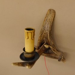 Wandlampe Geweih 1 flammig Rothirschstange Rehstange Stange Lampe Leuchte Wand