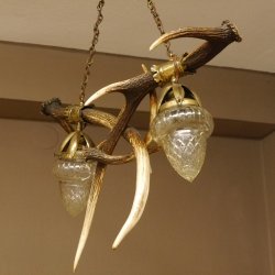Lampe Deckenlampe Rothirschstangen Stangen Lampen Leuchte 2 - flammig Lampenschirm