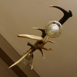 Lampe Deckenlampe Rothirschstangen Stangen Lampen Leuchte 2 - flammig Lampenschirm