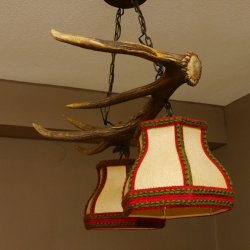 Lampe Deckenlampe Rothirschstange Stangen Lampen Leuchte 2 - flammig Lampenschirm 92.2.13