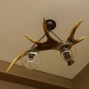 Lampe Deckenlampe Geweihlampe Elchstange Elch Stangen Lampen Leuchte 2 - flammig Lampenschirm