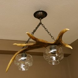 Lampe Deckenlampe Geweihlampe Elchstange Elch Stangen Lampen Leuchte 2 - flammig Lampenschirm