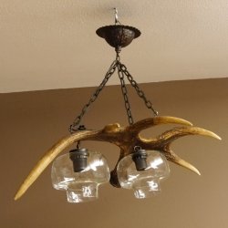 Lampe Deckenlampe Geweihlampe Elchstange Elch Stangen Lampen Leuchte 2 - flammig Lampenschirm