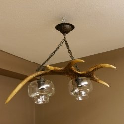 Lampe Deckenlampe Geweihlampe Elchstange Elch Stangen Lampen Leuchte 2 - flammig Lampenschirm
