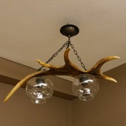 Lampe Deckenlampe Geweihlampe Elchstange Elch Stangen Lampen Leuchte 2 - flammig Lampenschirm