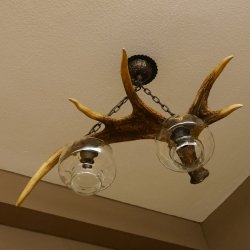Lampe Deckenlampe Geweihlampe Elchstange Elch Stangen Lampen Leuchte 2 - flammig Lampenschirm