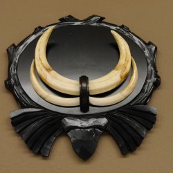 Warzenschwein Waffen Hauer max.19,4-24,5 cm Keiler Gewaff Afrika Trophäenschild 88.15.62
