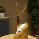 Rehgeweih Reh Korallenbock Gehörn Bock Rehgehörn Geweih Trophäenschild 609.77