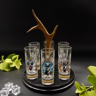 Schnapsanbieter mit 6 Stk. Gläser 2cl 4cl mit Hirsch Design auf Schild SCHWARZ mit Rehstange Geschenk 7 Varianten wählbar