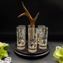 Schnapsanbieter mit 6 Stk. Gläser 2cl 4cl mit Hirsch Design auf Schild SCHWARZ mit Rehstange Geschenk 7 Varianten wählbar