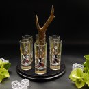 Schnapsanbieter mit 6 Stk. Gläser 2cl 4cl mit Hirsch Design auf Schild SCHWARZ mit Rehstange Geschenk 7 Varianten wählbar