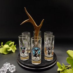 Schnapsanbieter mit 6 Stk. Gläser 2cl 4cl mit Hirsch Design auf Schild SCHWARZ mit Rehstange Geschenk 7 Varianten wählbar