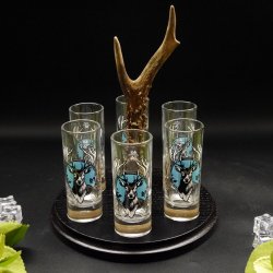 Schnapsanbieter mit 6 Stk. Gläser 2cl 4cl mit Hirsch Design auf Schild SCHWARZ mit Rehstange Geschenk 7 Varianten wählbar