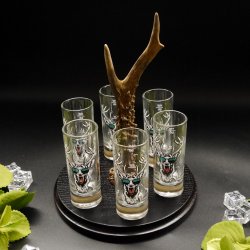 Schnapsanbieter mit 6 Stk. Gläser 2cl 4cl mit Hirsch Design auf Schild SCHWARZ mit Rehstange Geschenk 7 Varianten wählbar
