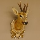Rehbock abnormer Kopf 3 Stangen Bock Präparat Höhe 54 cm Geweih Reh Kopfpräparat geschnitztem Trophäenschild 85.11.99