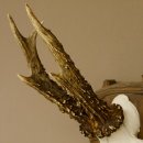 Rehgeweih Reh Geweih Gehörn Rehbock Trophäe auf geschnitztem Trophäenschild 606.131