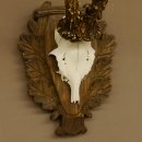 Rehgeweih Reh Geweih Gehörn Rehbock Trophäe auf geschnitztem Trophäenschild 606.131