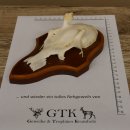Rehgeweih Ricke Reh Geweih Gehörn Rehbock Trophäe auf Trophäenschild 606.137