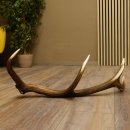Rothirsch Stange 8 ender Gewicht 1,3 kg Länge 69 cm Hirsch Abwurfstange 71.1.161