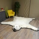 Eisbär Fell Bär Vorleger mit Kopfpräparation Eisbärvorleger XL taxidermy mit Genehmigung zum Verkauf