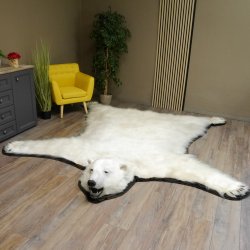 Eisbär Fell Bär Vorleger mit Kopfpräparation Eisbärvorleger XL taxidermy mit Genehmigung zum Verkauf