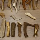 30 x Geweihteilen Stangen Damhirschstangen abgesägt Gewicht 4,8 kg Hirsch Konvolut