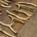 65 x Geweihteilen Hirschteile Stangen abgesägt Gewicht 5,1 kg Hirsch Konvolut