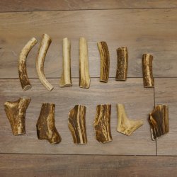 13 x Geweihteilen Hirschteile Gewicht 0,42 kg aufgesägt Hirsch Konvolut