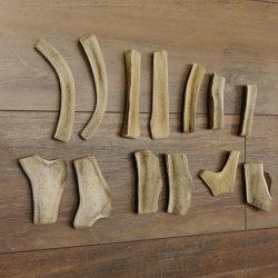 13 x Geweihteilen Hirschteile Gewicht 0,42 kg aufgesägt Hirsch Konvolut