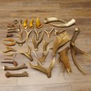 34 x Geweihteilen Hirschteile für Bastler Gewicht 6,8 kg Hirsch Konvolut