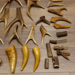 34 x Geweihteilen Hirschteile für Bastler Gewicht 6,8 kg Hirsch Konvolut
