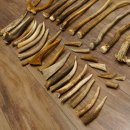 46 x Geweihteilen Hirschteile für Bastler Gewicht 4,9 kg Spitzen Stangen Hirsch Konvolut