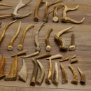 46 x Geweihteilen Hirschteile für Bastler Gewicht 4,9 kg Spitzen Stangen Hirsch Konvolut