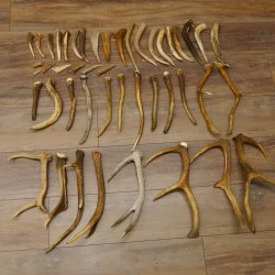 46 x Geweihteilen Hirschteile für Bastler Gewicht 4,9 kg Spitzen Stangen Hirsch Konvolut