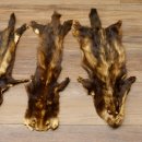 Iltisfell 5 Stück Iltisfelle Fell gebrauchte Tierfelle Konvolut