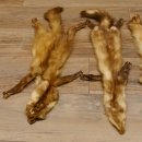 5 Stück Marder Felle Steinmarder Fell Tier