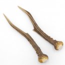 Reh Geweih Stangen Paar Rehstangen 2 Stück Länge 19 cm 14.2.445