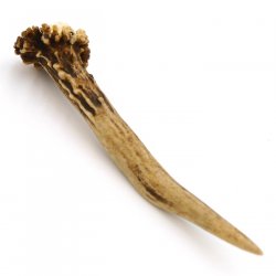 Rehstange Länge 11 cm Reh Geweihestange Geweih Stange Rehgehörn Gehörn 14.1.258