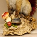 Wolpertinger Wolpi Fuchs mit Hörner Flügel rotem Schwanz Punk Präparat Fabelwesen