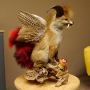 Wolpertinger Wolpi Fuchs mit Hörner Flügel rotem Schwanz Punk Präparat Fabelwesen